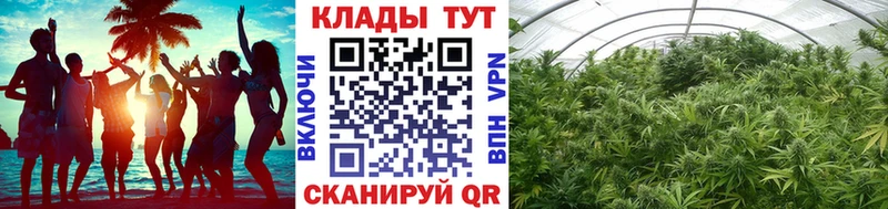 Купить закладку Дедовск Альфа ПВП  Меф  Псилоцибиновые грибы  Метамфетамин  ГАШИШ  МАРИХУАНА 