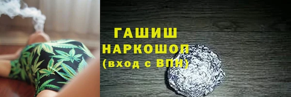сатива Гусев