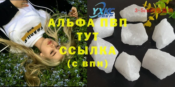 сатива Ижевск