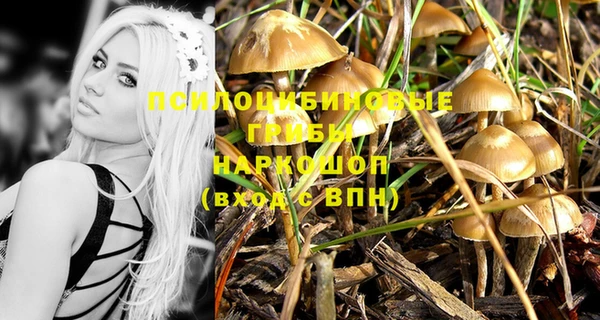 бутират Гусь-Хрустальный