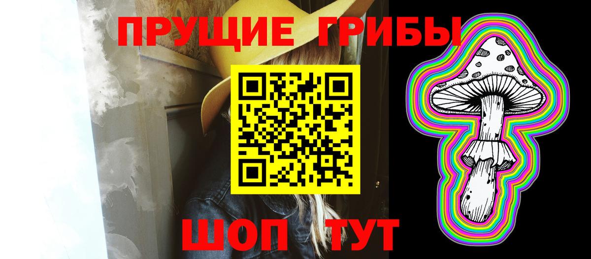 Псилоцибиновые грибы Psilocybine cubensis Дедовск