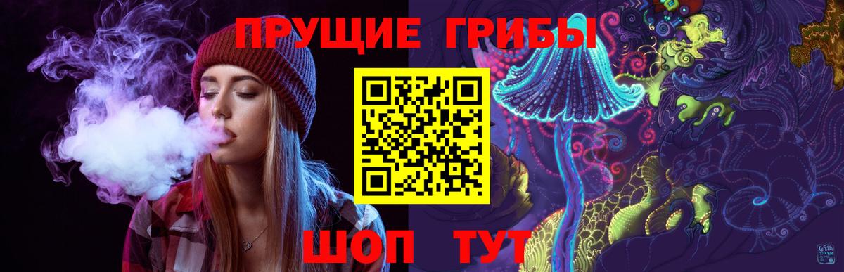 Галлюциногенные грибы Psilocybe Дедовск