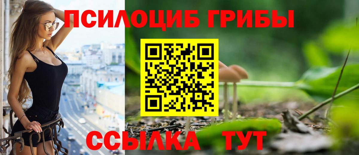 Галлюциногенные грибы мицелий  Псилоцибиновые грибы мицелий  Дедовск  Вход с VPN 